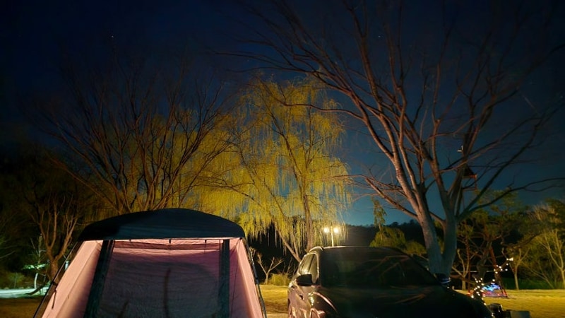 [캠핑로그 #19] 논산 나그네캠핑장 2박_벚꽃 캠핑