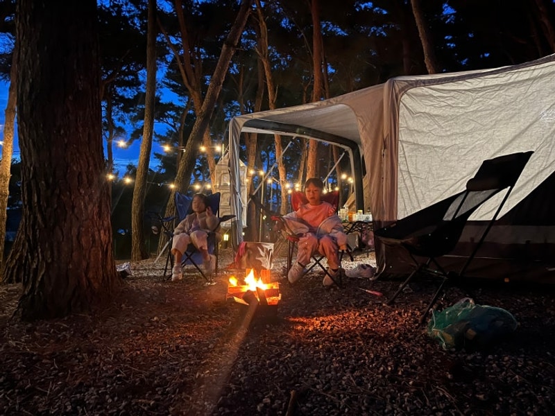 충남 서천 늘푸른캠핑장, 가성비 최고의 캠핑장