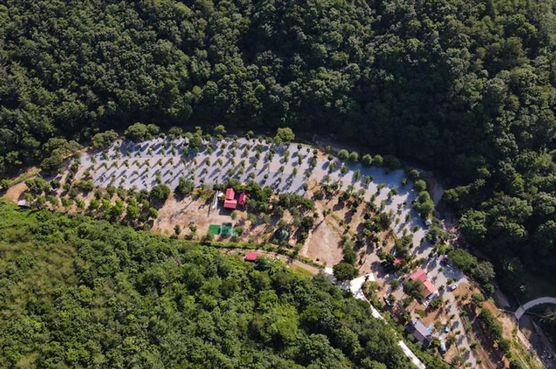 리우 캠핑장 대표 사진