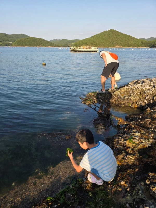 #2.마산_더숨포레스트 캠핑장/ H8 사이트 1박2일 후기