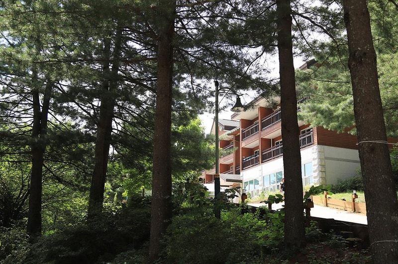 국립용대자연휴양림 시설 사진 16