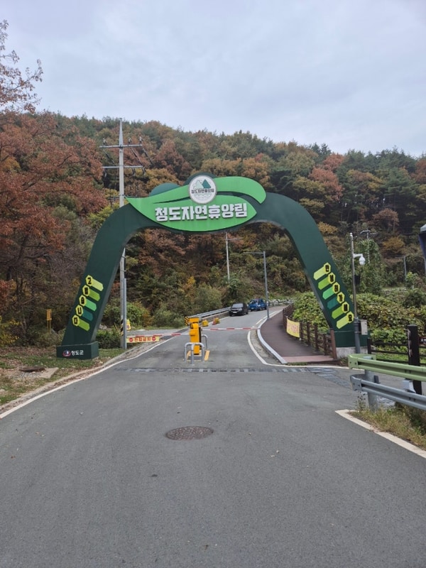 ⛺️ [캠핑일기] 청도 자연휴양림 A사이트 11번 후기