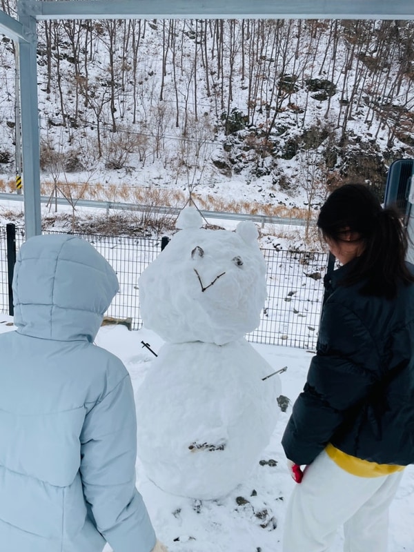 봉화 별빛뜰애 폭설캠핑