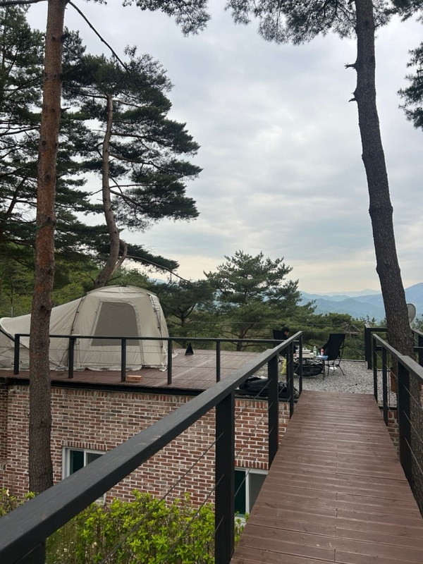 [강원도 영월 구름품은 캠핑장] 명당 10번 사이트 내돈내산 후기