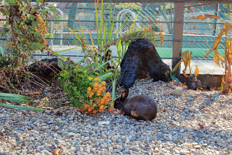 산음캠핑(글램핑) 시설 사진 11