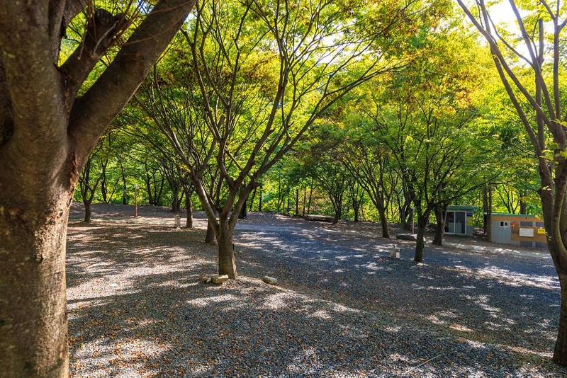 약초농원 캠핑장 시설 사진 14