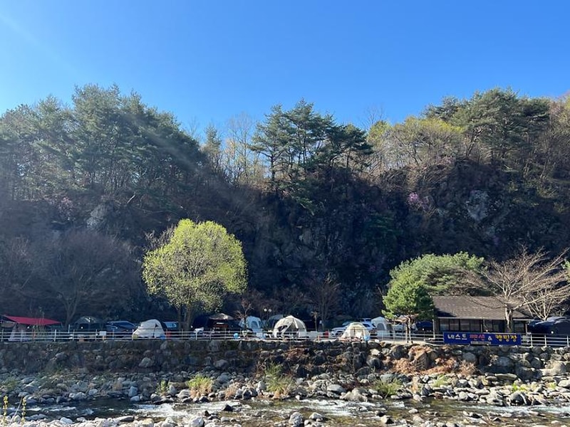 네스트캠핑 대표 사진