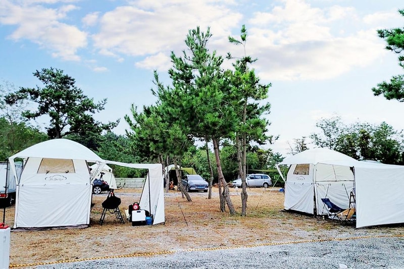 태안노을과바다캠핑앤글램핑 시설 사진 7
