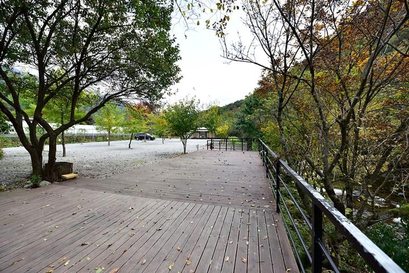 자우림캠핑장 대표 사진