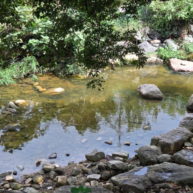 충북 괴산 캠핑장 승암159 캠핑장 다슬기