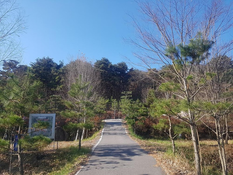 명봉산솔밭관광농원오토캠핑장 시설 사진 18