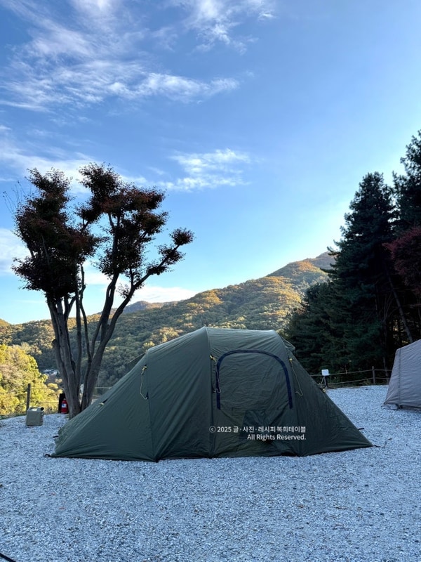 여주 구릉지캠핑장 후기 경기도 신생캠핑장