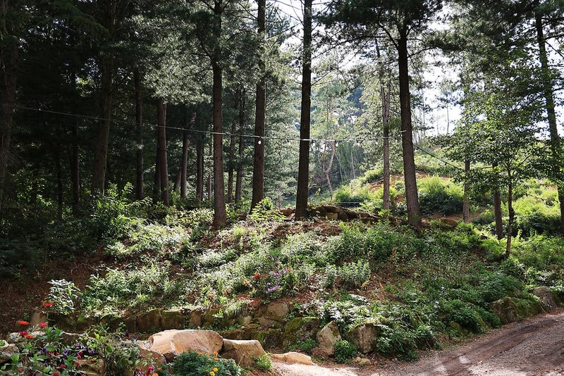 노섬브리아 야영장 시설 사진 15