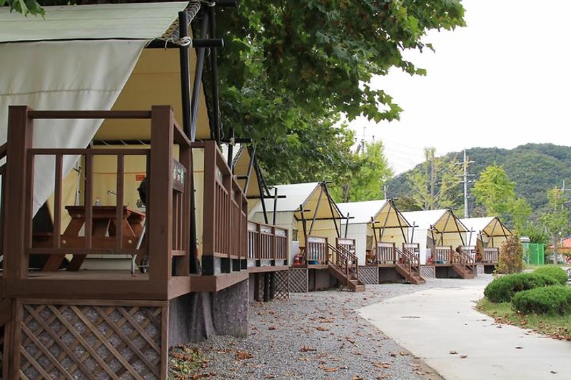 북캠프 대표 사진