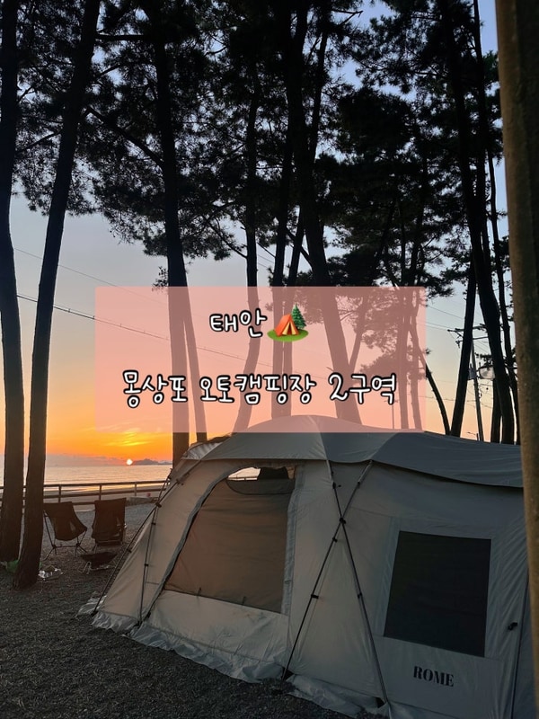 태안 해루질하기 좋은 오션뷰 몽산포 오토캠핑장 2구역 후기