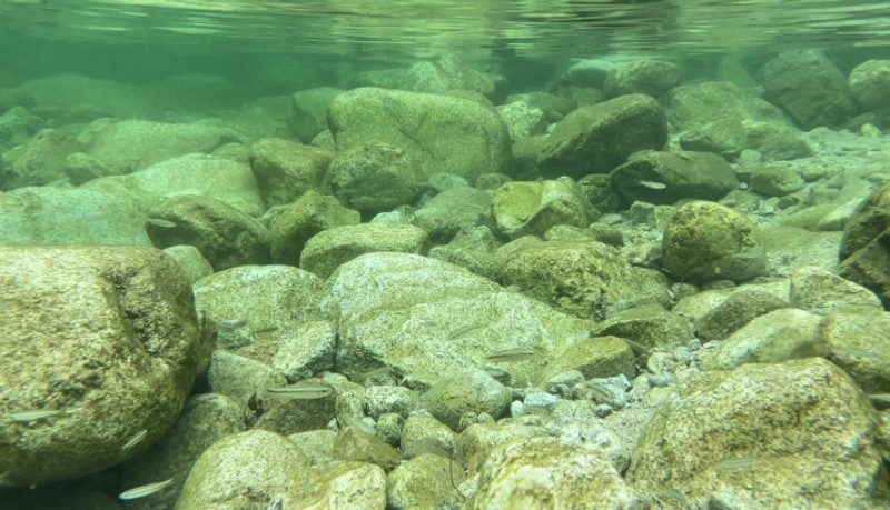 도마치 자연 그대로 캠핑장 백패킹