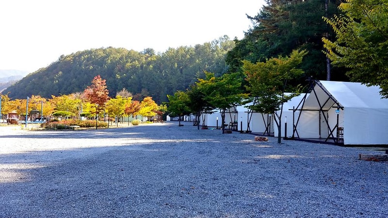 플로렌스 글램핑 & 캠핑 시설 사진 9