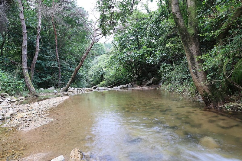 다올 오토캠핑장 시설 사진 17