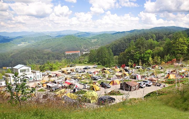 웰리힐리파크 오토캠핑장 대표 사진