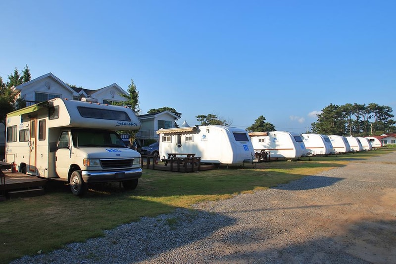 블루오션리조트, 오션파크 시설 사진 10