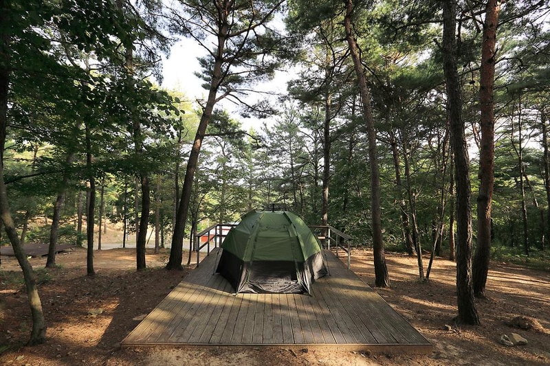 파인힐캠프 시설 사진 12