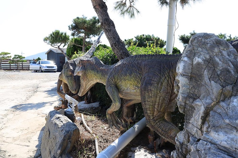 쥬라기 카라반 시설 사진 20