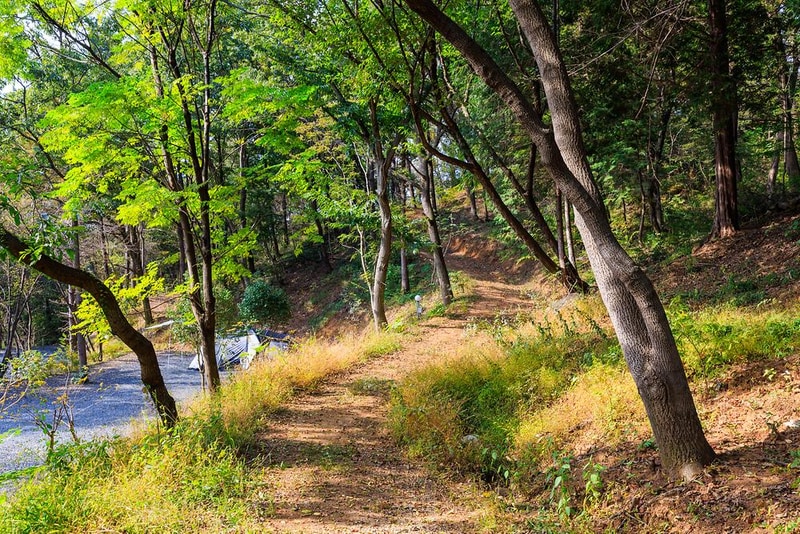상사호 오토 캠핑장 시설 사진 4