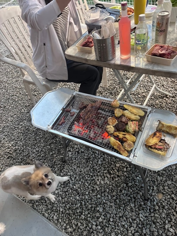 산청 펫글램핑 :: 불멍, 바베큐 가능한 경남 애견동반 글램핑