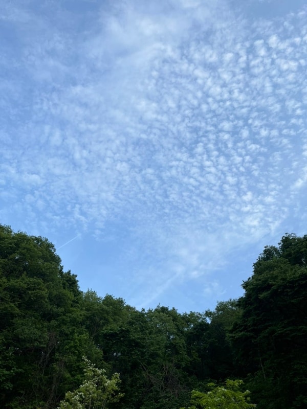 [캠핑기록 1] 용인젤코바캠핑장