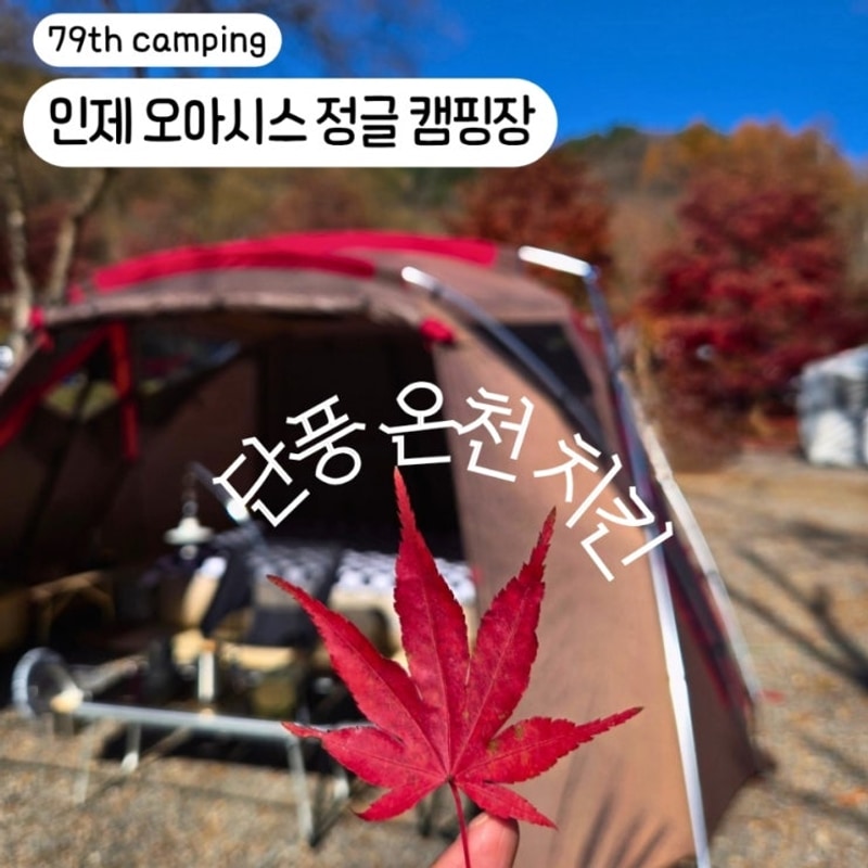별이 쏟아지는 '인제 오아시스 정글' 애견동반 단풍캠 A7 후기...