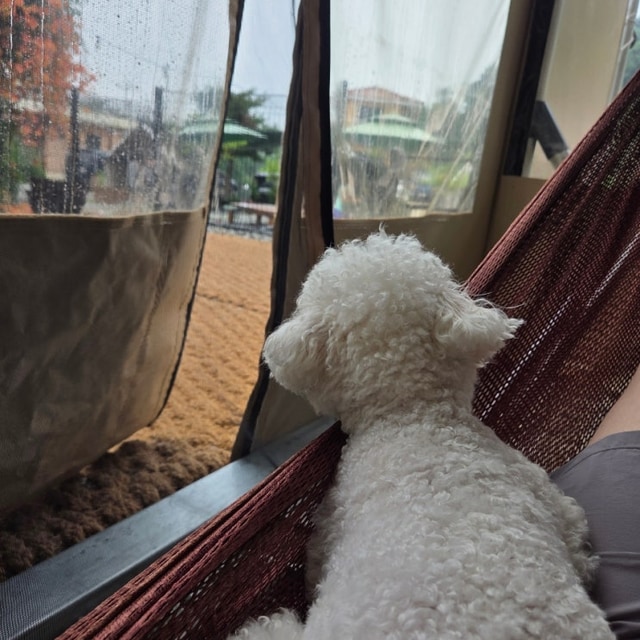 올라봄 캠크닉 대표 사진