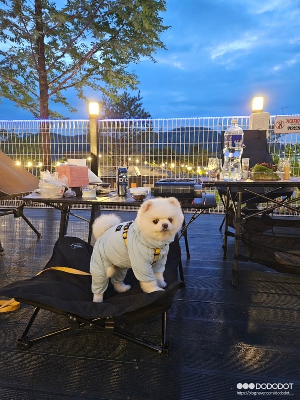 귀요미와 함께한 강변나루 캠핑장 b1, b2 군남댐 뷰와 압생트