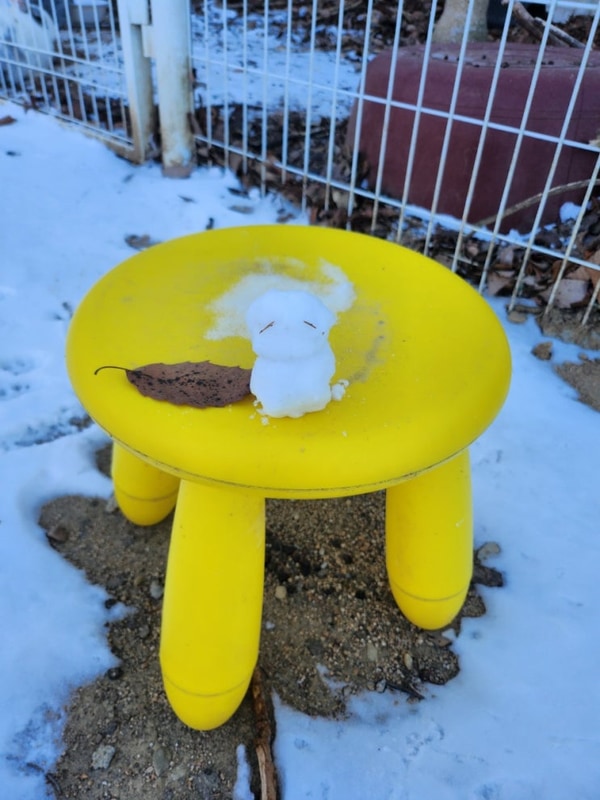 191번째 캠핑 - 경주 산내956