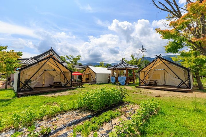 수승대체험휴양마을 대표 사진