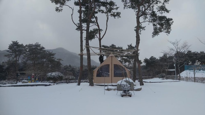 숲속의베리팜 시설 사진 6