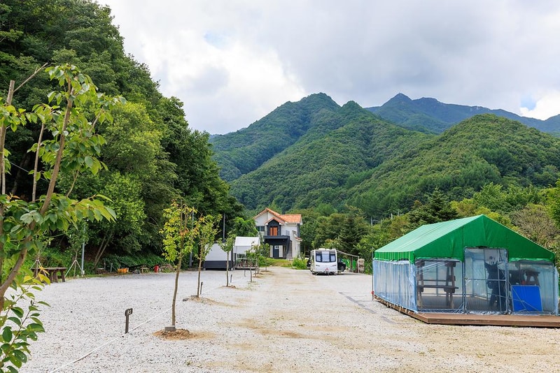 월성자연캠핑야영장 시설 사진 26