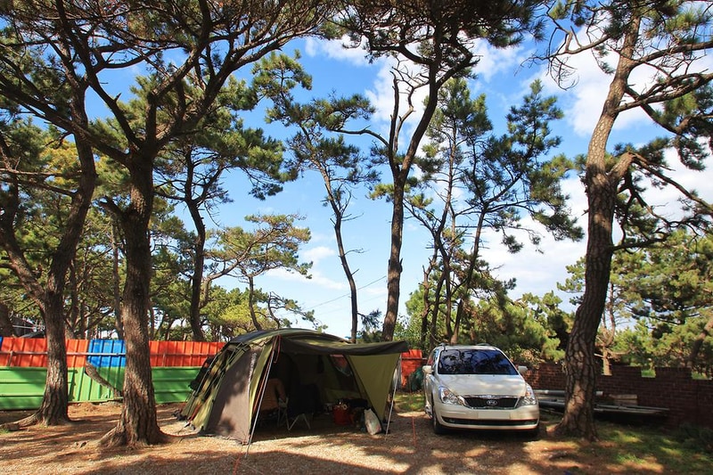 그린오토캠핑장 시설 사진 1