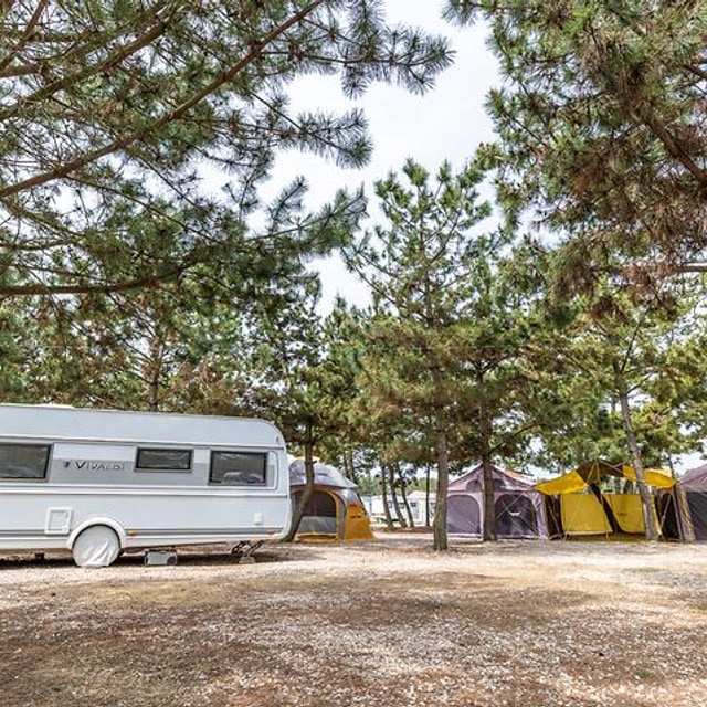 몽산포오션캠핑장