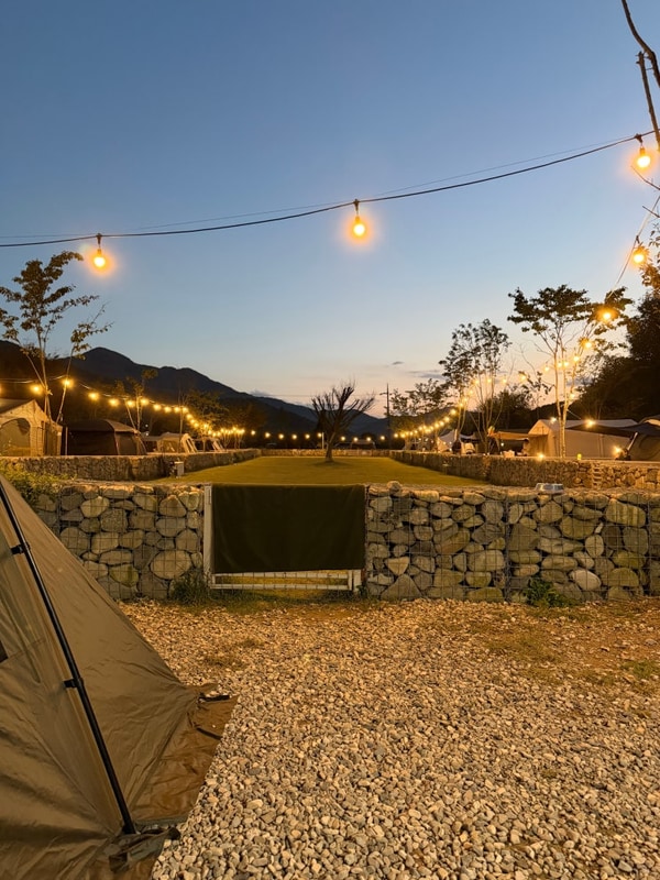 청도애견전용캠핑장... 있는 벨캠핑장(이팝나무존 13번)