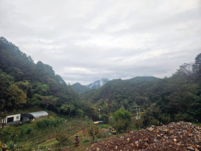 개별 화장실 캠핑장 추천! 단양 도담캠핑장 두가족 사이트(P7...