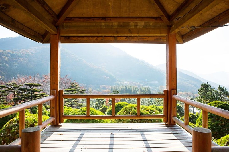 노꼬담꼬 시설 사진 35