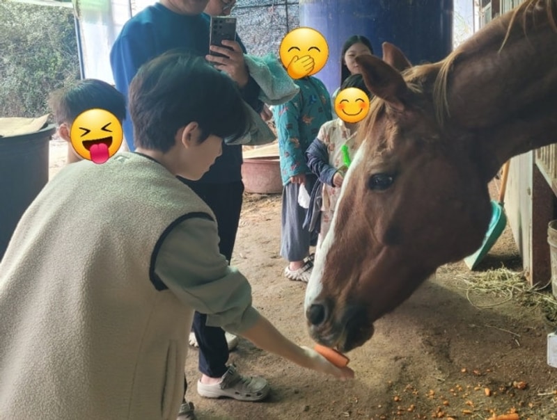 [단체캠핑-할로윈파티] 제천패밀리오토캠핑장