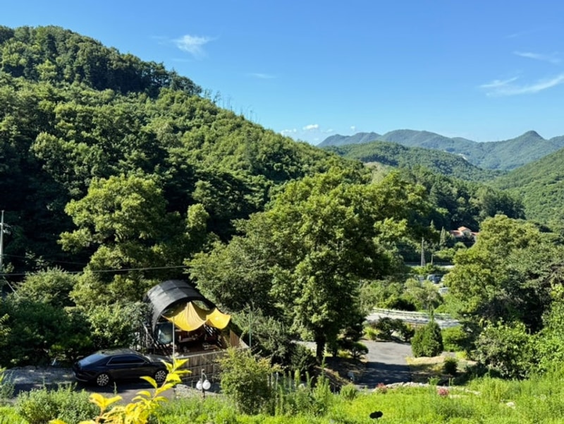 부모님이랑 힐링캠프 충주 하너미캠핑장 11번 사이트