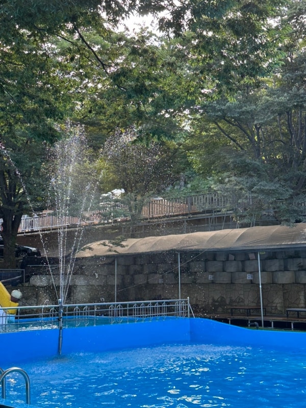 천안계곡 호두나무캠핑장 평상대여 내돈내산 후기