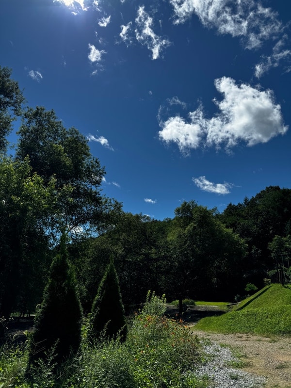 봉화 숲속캠핑장