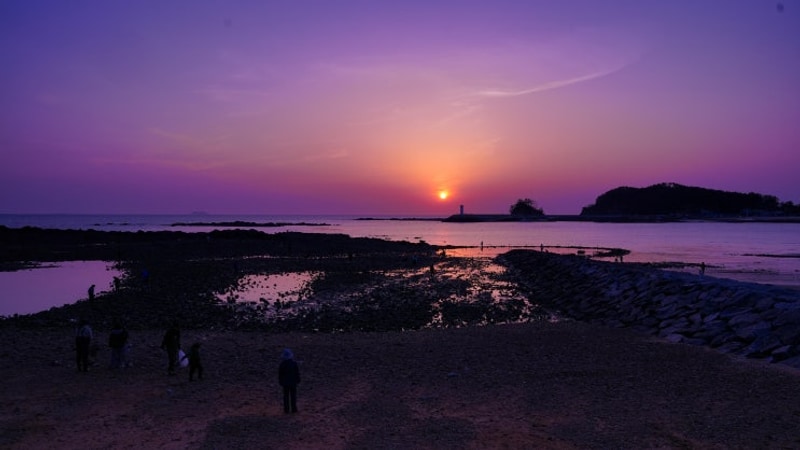 여행기_V630J] #165. 250426~28_태안 어은돌송림캠핑장