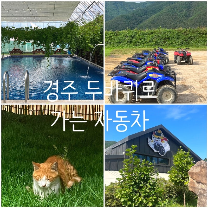 경주 여행 두바퀴로 가는 자동차 내돈내산 카라반 수영장 ATV...