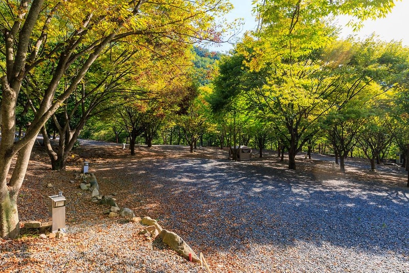 약초농원 캠핑장 시설 사진 9
