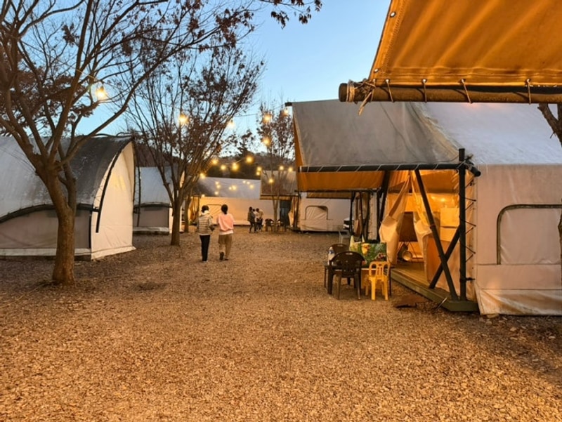 파주 적성 하늘연캠핑장 동료들과의 행복한 저녁