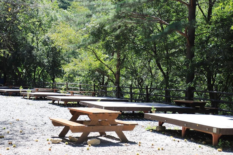 국립미천골자연휴양림 시설 사진 12